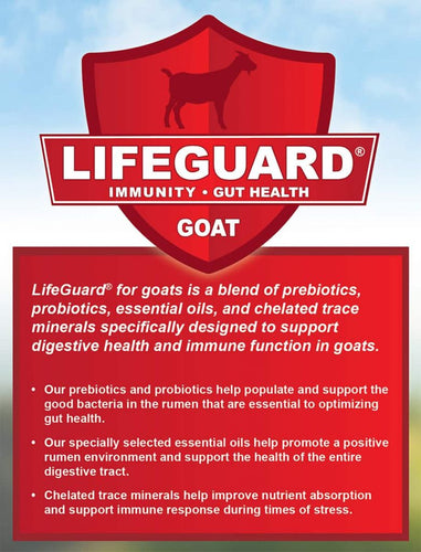 Kalmbach Start Right® Kid Feed (Medicated)