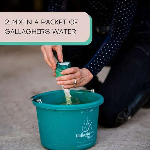Gallagherโs Water Original Formula