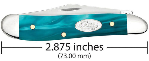 Case SparXX™ Smooth Aqua Kirinite® Peanut