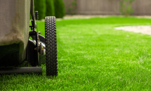 A close up of a push mower, ready to cut grass