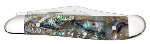 Case Smooth Abalone Peanut