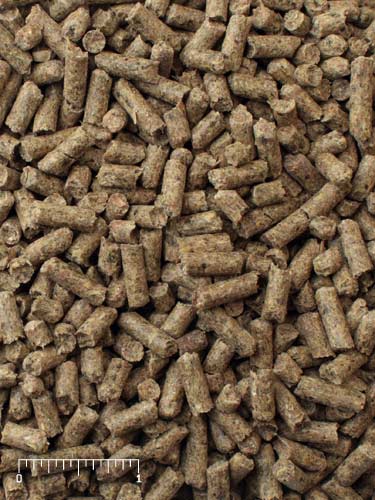 Mazuri® Mini Pig Active Adult