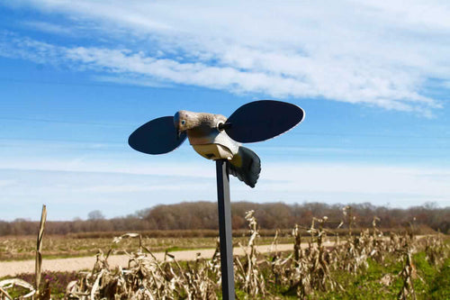 Mojo HW2488 Elite Series Dove Decoy