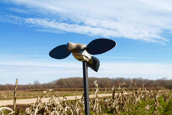 Mojo HW2488 Elite Series Dove Decoy