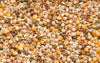 Purgrain Breeder/Conditioner 16% Popcorn Pigeon Feed