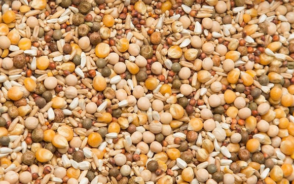 Purgrain Breeder/Conditioner 16% Popcorn Pigeon Feed