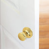 Design House Tulip 2-Way Latch Dummy Door Knob  in Polished Brass