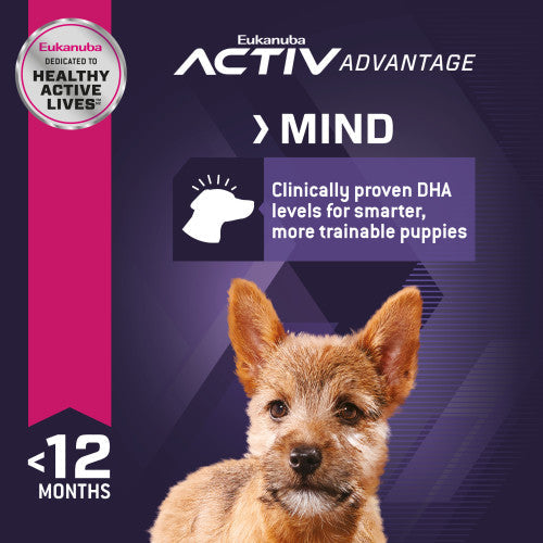 Eukanuba Puppy Small Breed Dry Dog Food