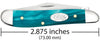 Case SparXX™ Smooth Aqua Kirinite® Peanut