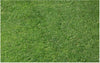 Pennington NuMex Sahara Turf Type Bermudagrass Penkoted Grass Seed Unhulled