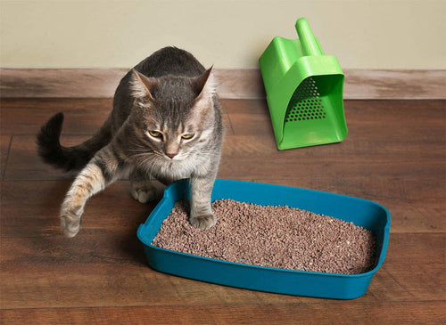 PF Harris Harris Shaker/Sifter