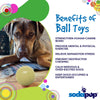 SodaPup Squeak Ball Ultra Durable PUP-X Squeaking, Chewing, Floating & Retrieving Ball Dog Toy