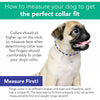 Coastal Pet Li'l Pals by Coastal Posh B'Dazzled Bone Dog Collars