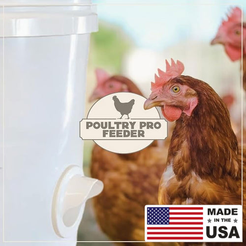 Riverbend Resources Poultry Pro Feeder