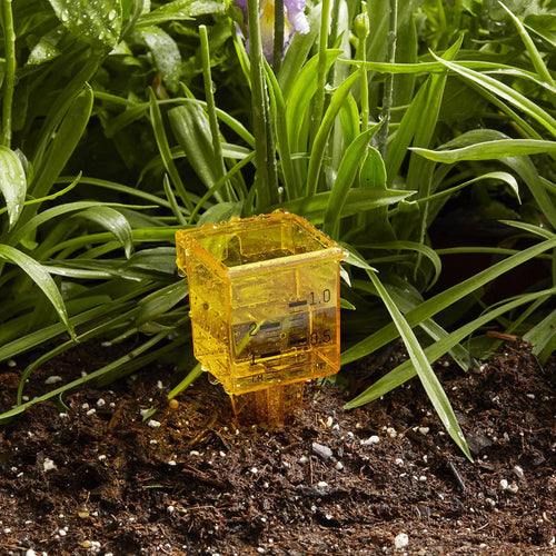 Taylor 2-in-1 Rain and Sprinkler Gauge