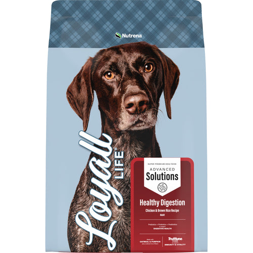 Nutrena® Loyall Life® Advanced Solutions Healthy Digestion Chicken & Rice Recipe Adult Dog Food