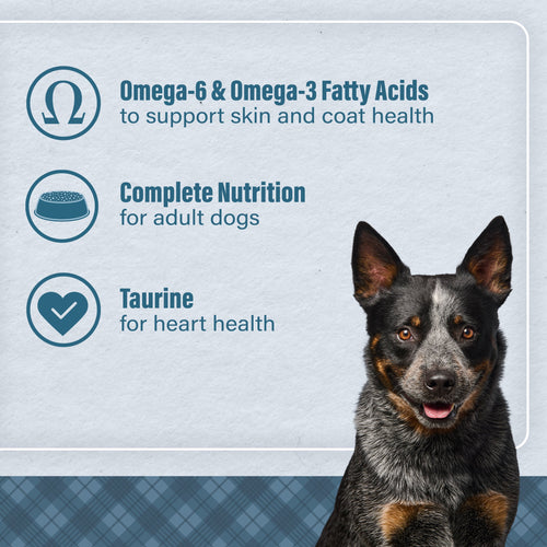 Nutrena® Loyall Life® Lamb Meal & Brown Rice Recipe Adult Dog Food