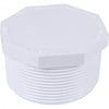 Genova PVC SCH 40 Fittings 2 Plug (MIP