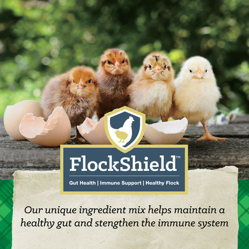 Nutrena® NatureWise® Chick Starter Grower 18% Protein Crumble Feed