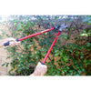 Corona Lopper & Pruner Bonus Pack