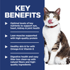 Hill's Science Diet Adult 11+ Indoor Chicken Recipe Cat Food