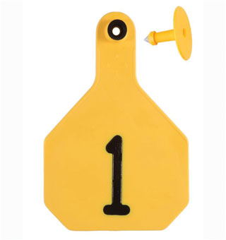Y-Tex All American 2-Piece Combo Ear Tag Laser Large Yellow 1-25