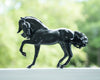 Breyer Sjoerd