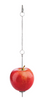 Little Giant Chicken Treat Skewer