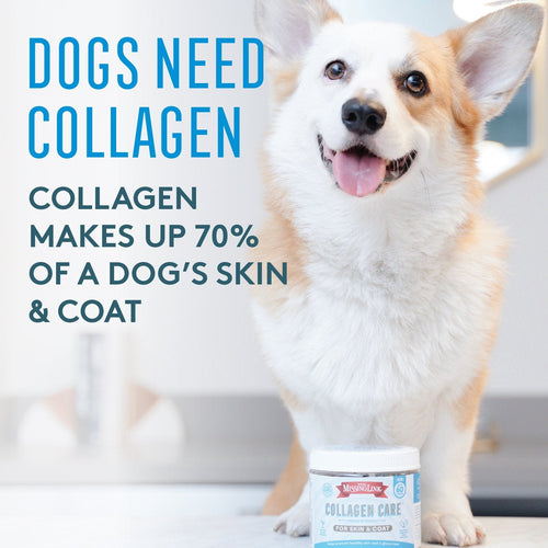 The Missing Link® Collagen Care™ Skin & Coat Soft Chews