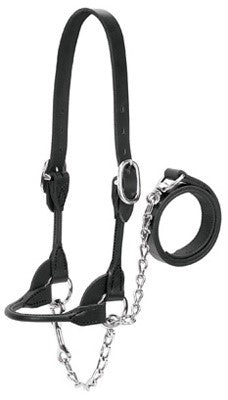 Weaver Leather Dairy/Beef Rounded Show Halter